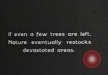 Image of Replanting timber harvest trees United States USA, 1926, second 36 stock footage video 65675023602