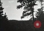 Image of Replanting timber harvest trees United States USA, 1926, second 41 stock footage video 65675023602