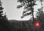 Image of Replanting timber harvest trees United States USA, 1926, second 42 stock footage video 65675023602