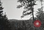 Image of Replanting timber harvest trees United States USA, 1926, second 43 stock footage video 65675023602
