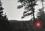 Image of Replanting timber harvest trees United States USA, 1926, second 44 stock footage video 65675023602