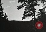 Image of Replanting timber harvest trees United States USA, 1926, second 45 stock footage video 65675023602