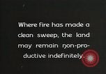 Image of Replanting timber harvest trees United States USA, 1926, second 52 stock footage video 65675023602