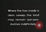 Image of Replanting timber harvest trees United States USA, 1926, second 53 stock footage video 65675023602