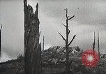Image of Replanting timber harvest trees United States USA, 1926, second 56 stock footage video 65675023602