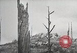 Image of Replanting timber harvest trees United States USA, 1926, second 57 stock footage video 65675023602