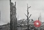 Image of Replanting timber harvest trees United States USA, 1926, second 58 stock footage video 65675023602