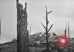 Image of Replanting timber harvest trees United States USA, 1926, second 59 stock footage video 65675023602