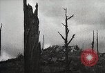 Image of Replanting timber harvest trees United States USA, 1926, second 60 stock footage video 65675023602