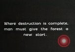Image of Replanting timber harvest trees United States USA, 1926, second 62 stock footage video 65675023602