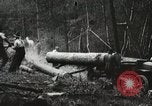 Image of Emergency Conservation Work members United States USA, 1933, second 3 stock footage video 65675023604