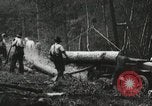 Image of Emergency Conservation Work members United States USA, 1933, second 4 stock footage video 65675023604