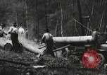 Image of Emergency Conservation Work members United States USA, 1933, second 6 stock footage video 65675023604