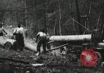 Image of Emergency Conservation Work members United States USA, 1933, second 7 stock footage video 65675023604