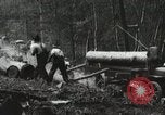 Image of Emergency Conservation Work members United States USA, 1933, second 9 stock footage video 65675023604