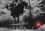 Image of Emergency Conservation Work members United States USA, 1933, second 10 stock footage video 65675023604