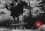 Image of Emergency Conservation Work members United States USA, 1933, second 11 stock footage video 65675023604