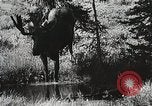 Image of Emergency Conservation Work members United States USA, 1933, second 12 stock footage video 65675023604
