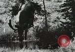 Image of Emergency Conservation Work members United States USA, 1933, second 13 stock footage video 65675023604