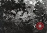 Image of Emergency Conservation Work members United States USA, 1933, second 18 stock footage video 65675023604