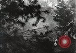 Image of Emergency Conservation Work members United States USA, 1933, second 19 stock footage video 65675023604