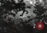 Image of Emergency Conservation Work members United States USA, 1933, second 20 stock footage video 65675023604