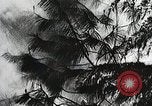 Image of Emergency Conservation Work members United States USA, 1933, second 24 stock footage video 65675023604