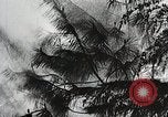 Image of Emergency Conservation Work members United States USA, 1933, second 25 stock footage video 65675023604