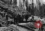 Image of Emergency Conservation Work members United States USA, 1933, second 27 stock footage video 65675023604