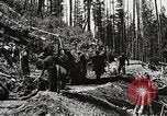Image of Emergency Conservation Work members United States USA, 1933, second 28 stock footage video 65675023604