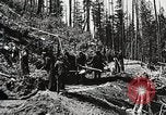 Image of Emergency Conservation Work members United States USA, 1933, second 29 stock footage video 65675023604