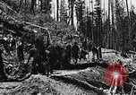 Image of Emergency Conservation Work members United States USA, 1933, second 30 stock footage video 65675023604