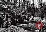 Image of Emergency Conservation Work members United States USA, 1933, second 31 stock footage video 65675023604