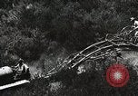 Image of Emergency Conservation Work members United States USA, 1933, second 38 stock footage video 65675023604