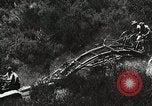 Image of Emergency Conservation Work members United States USA, 1933, second 39 stock footage video 65675023604