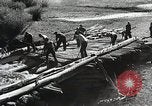 Image of Emergency Conservation Work members United States USA, 1933, second 42 stock footage video 65675023604