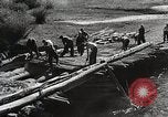 Image of Emergency Conservation Work members United States USA, 1933, second 43 stock footage video 65675023604