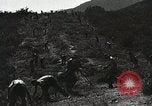 Image of Emergency Conservation Work members United States USA, 1933, second 49 stock footage video 65675023604