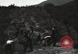 Image of Emergency Conservation Work members United States USA, 1933, second 50 stock footage video 65675023604