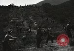 Image of Emergency Conservation Work members United States USA, 1933, second 51 stock footage video 65675023604