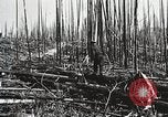 Image of Emergency Conservation Work members United States USA, 1933, second 54 stock footage video 65675023604