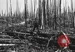 Image of Emergency Conservation Work members United States USA, 1933, second 55 stock footage video 65675023604