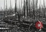 Image of Emergency Conservation Work members United States USA, 1933, second 56 stock footage video 65675023604