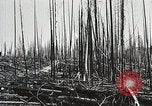Image of Emergency Conservation Work members United States USA, 1933, second 57 stock footage video 65675023604