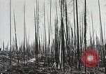 Image of Emergency Conservation Work members United States USA, 1933, second 58 stock footage video 65675023604