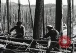 Image of Emergency Conservation Work members United States USA, 1933, second 59 stock footage video 65675023604