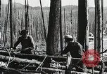 Image of Emergency Conservation Work members United States USA, 1933, second 61 stock footage video 65675023604