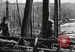 Image of Emergency Conservation Work members United States USA, 1933, second 62 stock footage video 65675023604