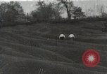 Image of Emergency Conservation Work members United States USA, 1933, second 1 stock footage video 65675023605