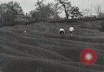 Image of Emergency Conservation Work members United States USA, 1933, second 3 stock footage video 65675023605